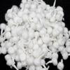 GRI9 1000Pc Hand Rolled Cotton Puja Wicks Oil Lamps Cotton Wicks for Puja Pooja Jyot Batti Oil Lamp DIiya for Diwali Deepawali Diya, Ideal for Brass, Kuber Clay Diya Home Mandir Temple (Round, 1000) view 1