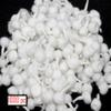 GRI9 1000Pc Hand Rolled Cotton Puja Wicks Oil Lamps Cotton Wicks for Puja Pooja Jyot Batti Oil Lamp DIiya for Diwali Deepawali Diya, Ideal for Brass, Kuber Clay Diya Home Mandir Temple (Round, 1000) view 3
