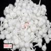 GRI9 1000Pc Hand Rolled Cotton Puja Wicks Oil Lamps Cotton Wicks for Puja Pooja Jyot Batti Oil Lamp DIiya for Diwali Deepawali Diya, Ideal for Brass, Kuber Clay Diya Home Mandir Temple (Round, 1000) view 4