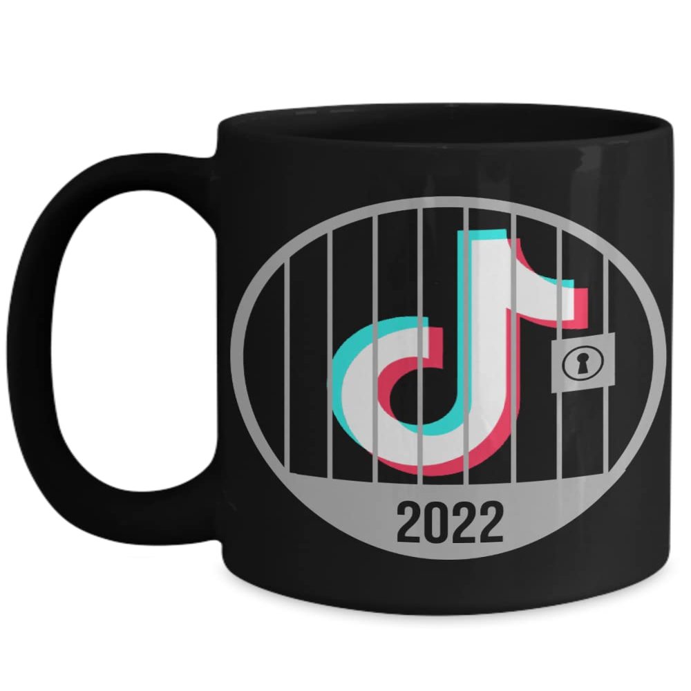 2022 Tiktok Jail Mug Prison Cell Inmate Funny Social Media Memes Birthday Christmas Ideas 11 or 15 oz White or Black Ceramic Coffee Cup Men Women Teen