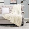 BYTIDE Stripe Faux Fur Plush Throw Blankets with Sherpa Back, Super Soft Warm Cozy Fluffy Fuzzy Reversible Luxury Throw for Couch Sofa Chair Bed Cover, 50" x 60", Cream Beige view 1