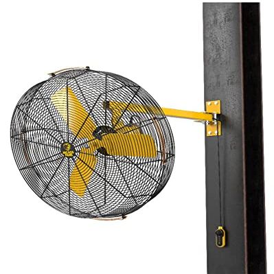 Big Ass Fans AirEye 30" Swivel Mount Fan 120V Industrial Wall Fan, Variable Speed EC Motor, IPX5 Rated, Indoor/Outdoor Fan, Black/Yellow