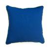 Greendale Home Fashions Outdoor 17-inch Square Decorative Throw Pillow, 2-Pack, Cobalt view 1