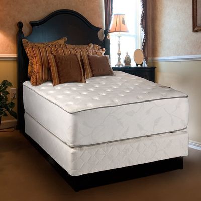 DS Solutions USA Exceptional Twin Plush 2-Sided Mattress and Box Spring Set with Metal Bed Frame - Spine Support, Premium Edge Guards, Foam, Orthopedic, Longlasting Comfort
