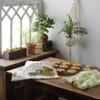 Kitchen Towel Set - Just One More Plant Farm view 2