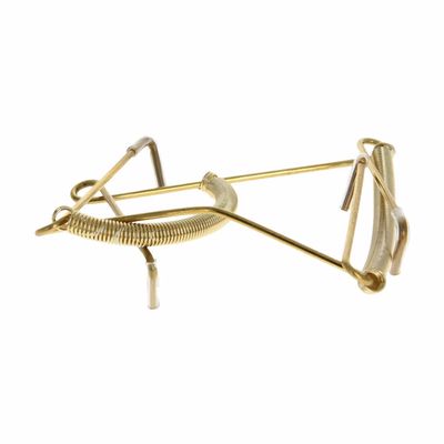 Aicosineg 1Pcs Plate Hanger 7.99" U Type Stainless Steel Plate Hangers Invisible Wall Hooks for Walls Compatible Decorative Plates Hooks Dish Diaplay Holder Golden