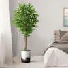 Artificial Tree in Contemporary Planter, Fake Ficus Silk Tree for Indoor and Outdoor Home Decoration - 66" Overall Tall (Plant Pot Plus Tree) view 3