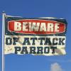 Flags For Room Guys Beware of Attack Parrot Flag Gifts For Men Who Have Everything (Size : 24 * 35IN/60 * 90CM) view 2