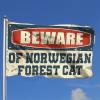 Flags For Room Guys Beware of Norwegian Forest Cat Flag Gifts For Men Who Have Everything ( Size : 24*35IN/60*90CM ) view 2