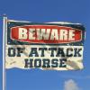 Flags For Room Guys Beware of Attack Horse Flag Gifts For Men Who Have Everything (Size : 12 * 18IN/30 * 45CM) view 2