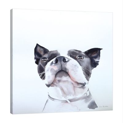 Jaxson Rea "Bird Watching Gallery Wrapped Canvas by Aimee Del Valle, 24" x 32"