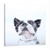 Jaxson Rea "Bird Watching Gallery Wrapped Canvas by Aimee Del Valle, 24" x 32" view 1