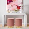 Tov Furniture Zoe Pleated Velvet Round Storage Ottoman (Blush) view 2