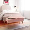 Tov Furniture Ziva Storage Bench (Blush) view 2