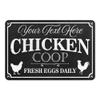 Chico Creek Signs Personalized Chicken Coop Sign Fresh Eggs Daily Custom Family Name Farmhouse Dcor Metal Outdoor Sign 12x18 112180084001 view 1