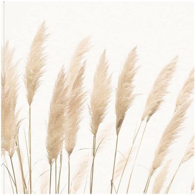 Fine Art Canvas Pampas Canvas Wall Decor by Artist Sisi & Seb for Living Room, Bedroom, Bathroom, Kitchen, Office, Bar, Dining & Guest Room - Ready to Hang - 46 in x 35 in