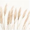 Fine Art Canvas Pampas Canvas Wall Decor by Artist Sisi & Seb for Living Room, Bedroom, Bathroom, Kitchen, Office, Bar, Dining & Guest Room - Ready to Hang - 46 in x 35 in view 1