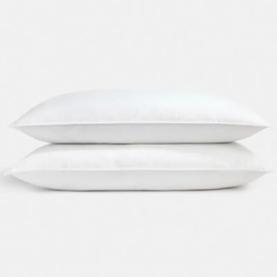 Sleep Blueprint - New Generation Pillows by TY Group/1Concier/Harbor Linen (King 20 x 36)