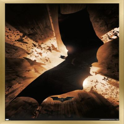 DC Comics Batman Begins - One Sheet Wall Poster, 22.4L" x 14.7W", Gold Framed Version