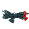 Kurt S. Adler UL 35-Light Red and White G12 Frosted Green Wire LED Light Set view 3
