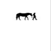 Horse Decal Pony Horse Wall Sticker Horse Rider Western Teen Girls Bedroom Decor Childs Room Baby Nursery Wall Design Mustang (27 X 60 inches) view 2