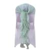 Balsa Circle 10 Eucalyptus Sage Curly Chiffon Chair Sashes Bows Ties - Wedding Ceremony Reception Decorations Supplies Wholesale view 1
