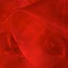 10 Red Curly Chiffon Chair Sashes Bows Ties - Wedding Party Ceremony Reception Decorations Cheap Supplies Wholesale view 4
