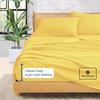 1000-TC Queen Size 4 Piece Sheet Set - Comfy Sheets, Peruvian Pima Cotton Hotel Luxury Bed Sheets for Women, Men, Kids & Teens - Deep Pocket Easy-Fits up to 10-12" Mattress (Stripe, Gold) view 4