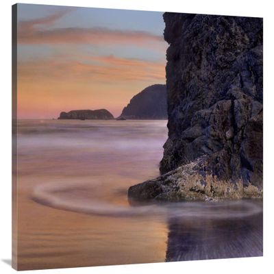 30 x 40 in. Barnacle-Covered Seastack at Sunset, Pistol River Beach, Oregon Art Print - Tim Fitzharris