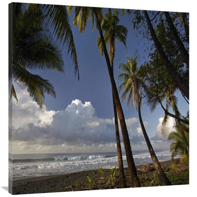 30 x 40 in. Palm Trees on The Beach Near Marino Ballena National Park, Costa Rica Art Print - Tim Fitzharris