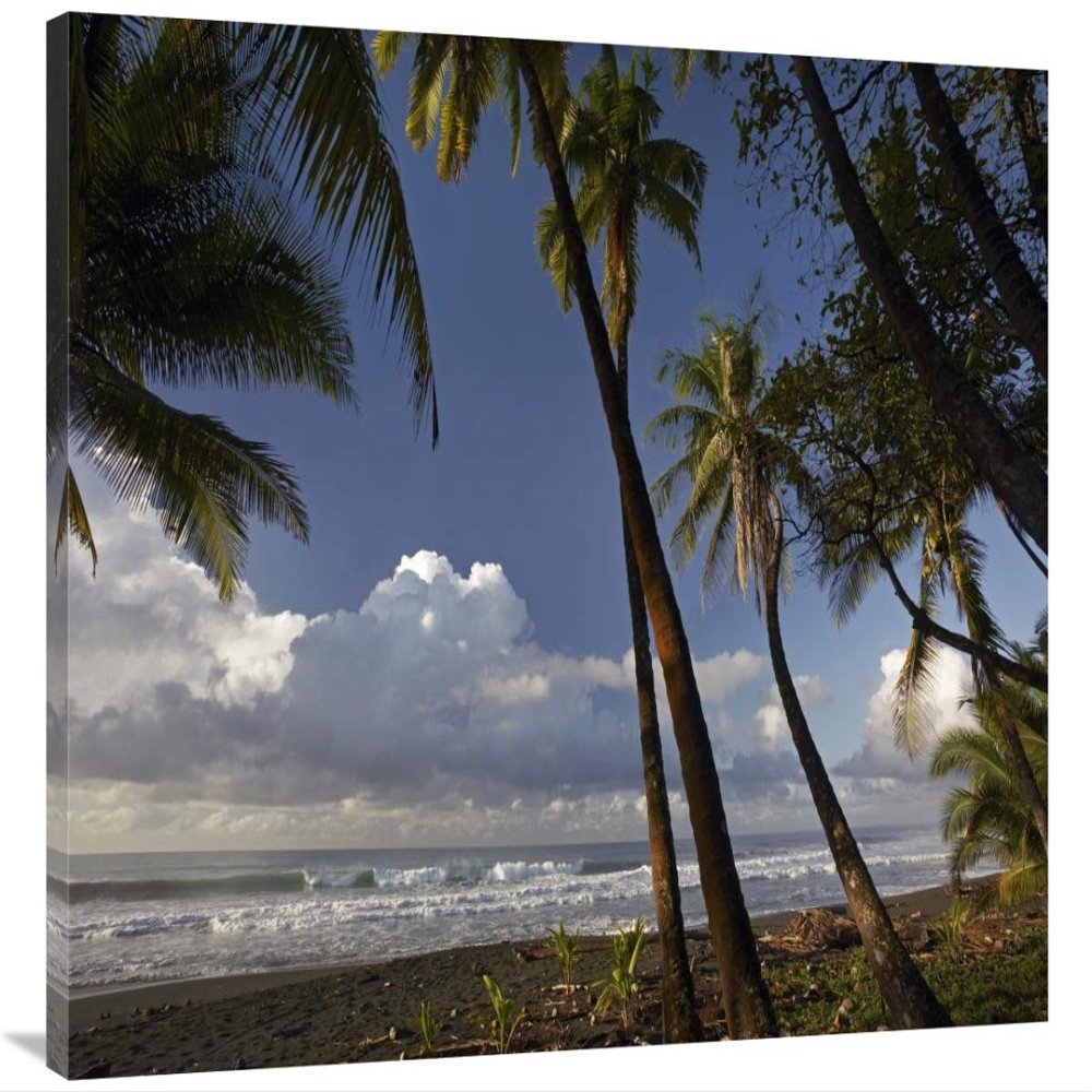 30 x 40 in. Palm Trees on The Beach Near Marino Ballena National Park, Costa Rica Art Print - Tim Fitzharris