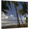 30 x 40 in. Palm Trees on The Beach Near Marino Ballena National Park, Costa Rica Art Print - Tim Fitzharris view 1