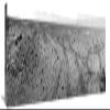 40 in. Mars Gale Crater with Tire Tracks - Panoramic Mosaic, August 15, 2014 Art Print - NASA view 1