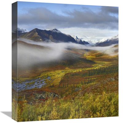 16 in. Fog Over Tundra, Tombstone Range, Tombstone Territorial Park, Yukon, Canada Art Print - Tim Fitzharris