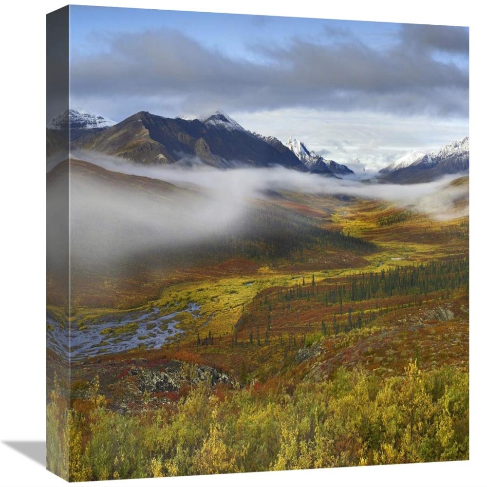 16 in. Fog Over Tundra, Tombstone Range, Tombstone Territorial Park, Yukon, Canada Art Print - Tim Fitzharris