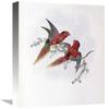 16 in. Pectoral Lorikeet Art Print - John Gould view 1