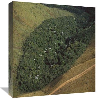 12 x 18 in. Patch of Remnant Rainforest Surrounded by Clearcut, Belo Horizonte, Atlantic Forest Ecosystem, Brazil Art Print - Mark Moffett