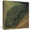 12 x 18 in. Patch of Remnant Rainforest Surrounded by Clearcut, Belo Horizonte, Atlantic Forest Ecosystem, Brazil Art Print - Mark Moffett view 1