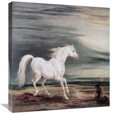 22 in. Marengo Barb Charger Art Print - James Ward