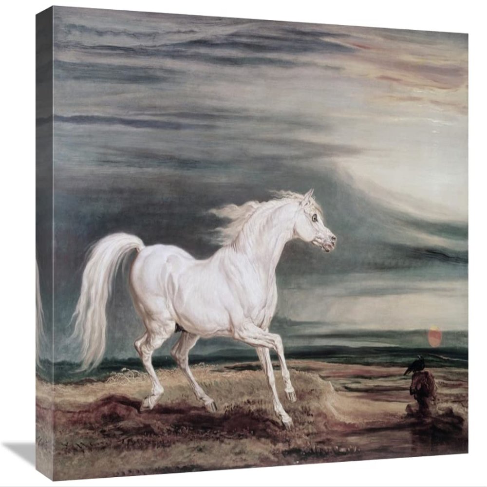 22 in. Marengo Barb Charger Art Print - James Ward