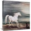 22 in. Marengo Barb Charger Art Print - James Ward view 1
