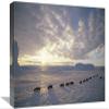 12 x 18 in. Emperor Penguins Tobogganing to Rookery, Edward VIII Gulf, Antarctica Art Print - Tui De Roy view 1