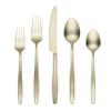 Cambridge Silversmiths Nylah Champagne Satin 20-Piece Flatware Set, Service for 4 view 1