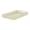 Labai White Gold Shagreen, Mirrored Tray (FP-3986WTGD) view 1
