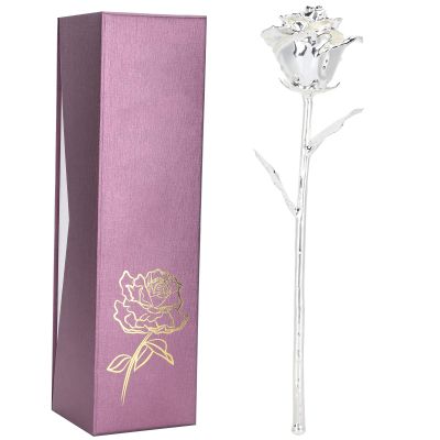 25th Anniversary Silver Rose, 24K Gold Dipped Flower Long Stem Forever Preserved Eternal Rose Present for Her Wife Mom, Birthday Valentine's Day Wedding