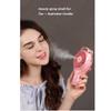 Grafken Mini Spray Small Fan Mini Rechargeable Student Dormitory Handheld USB Water Spray Small Portable Beauty Humidification (Color : Pink) view 2
