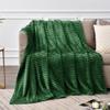 BEDELITE Fleece Blanket Twin Size  3D Ribbed Jacquard Soft and Warm Decorative Fuzzy Blankets  Cozy, Fluffy, Plush Lightweight Throw Blankets for Couch, Bed, Sofa(Green, 60x80 inches) view 2