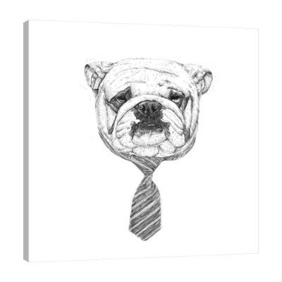 Jaxson Rea "Cooldog Gallery Wrapped Canvas by Balazs Solti, 24" x 32"