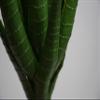 Artificial Aloe (14 inches) view 2