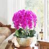 FagusHome 32 Inch Artificial Phalaenopsis Flowers 6 Pcs Artificial Orchid Flowers Stem Plants for Home Dcor (Purple) view 4